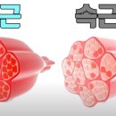 상수2(여) 이미지