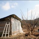 고령농장 이미지