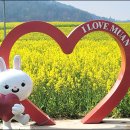 백림사 이미지