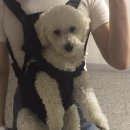 선화코스메틱