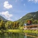 월아산 숲속의 진주 이미지