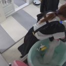 우아한개 이미지