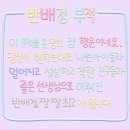 홀릭스 이미지