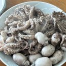 홍게킹 | 대구 매천시장 I 알쭈꾸미 노란 가자미 도다리 광어 우럭 홍게 대게 킹 크랩 시세 내돈내산 솔직후기