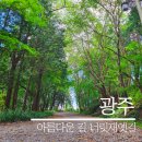 너릿재옛길정상 공중화장실 | 광주 가볼만한곳 사계절이 아름다운 숨은명소 너릿재옛길에서 화순카페 셀레브 까지 라이딩
