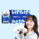 펫라이프 이미지