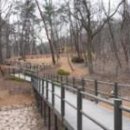 숲속쉼터 이미지