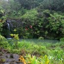 ROAD TO HANA 이미지