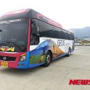 블루시티 이미지