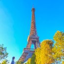 사랑탑약국 이미지