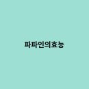파파인