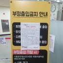 시립망우청소년센터 | [자유수영] 서울시립 망우청소년센터 수영장 이용후기
