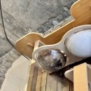 청주고양이입양지원센터 애니멀공화국 | 애니멀공화국] 청주고양이카페 고양이입양 고양이입원지원센터 유기묘센터 유기묘카페 청주고양이...