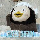 한자 자격증반 이미지