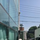 러닝독 스테이 네이버블로그