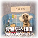 잔디게임방 | 창원애견동반호텔 찾는다면, 찜질도 되는 휴일도 스테이 창원점 후기