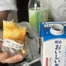도쿄여행 with me 2 : 메이지 신사, 하라주쿠 사우나, 도쿄 타워, 우에노공원, 몬자야끼