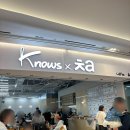 고양 스타필드 카페 노우즈 차 knows ㅊa