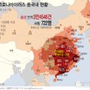 그래픽바이러스 이미지
