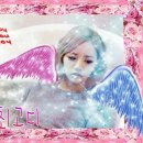 캐리피씨 이미지