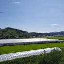 갈산면 원와마을회관 | [갈산면 와리 원와마을] 우리 마을은 천지개벽한 마을이여