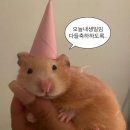 우리를 살게 하는 것들 (1)