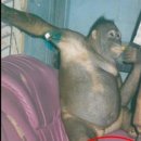 채선농장 이미지