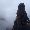 송일목장 Daum카페