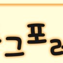 도그포레 네이버블로그