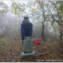 하대동352 이미지