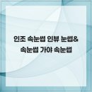 인뷰 | 인조 속눈썹 인뷰 눈썹&속눈썹 가야 속눈썹