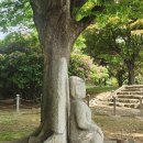창원 용화전 석조여래좌상 이미지
