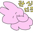 차차키친 이미지