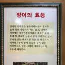 기동이네풍천장어 이미지