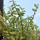 영수경로당 이미지