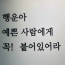 미S살롱 이미지