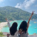 8박9일 푸켓 #5 카오락/ 시밀란섬 투어/ 바니아호텔/ 공항까지 12go 예약해서 공유밴타기)