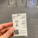 주식회사 바퀴창고 | [굿노트/여행기록] 대만 가오슝 여행 3일차 1편 - 타이난 녹색터널 &amp; 트리하우스