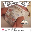 베베몬 에코네이버 밴드형 기저귀 샘플 후기