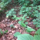 김선배농장 이미지