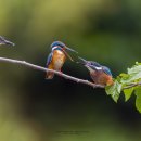 화북면보건지소 이미지