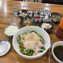 속초세꼬시 - 유성구 전민로22번길 49 | 속초 여행 물회 맛집 영금물회 후기｜세꼬시 회덮밥 내돈내산 리뷰