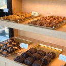 오션어클락 이미지