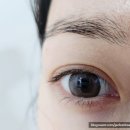 안경상회(청천점) | 위드렌즈 시그니처렌즈 뉴트럴무드 안경상회 위드렌즈 인청부평청천점에서 렌즈 구매솔직후기