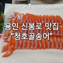 청호골송어 이미지