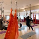 [8주과정]필라테스 요가 이미지