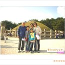 풍천대봉감농원 이미지