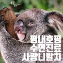 서울리온치과의원 네이버블로그