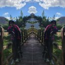 25년 11월 옥천 장령산 정기산행기념영상~:) 이미지