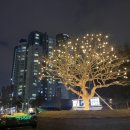더삼겹170